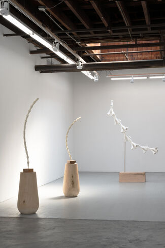 Se Yoon Park: Of Earth and Sky, installation view