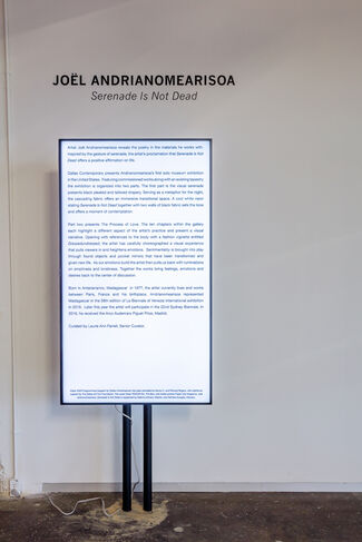 Serenade is not dead, installation view