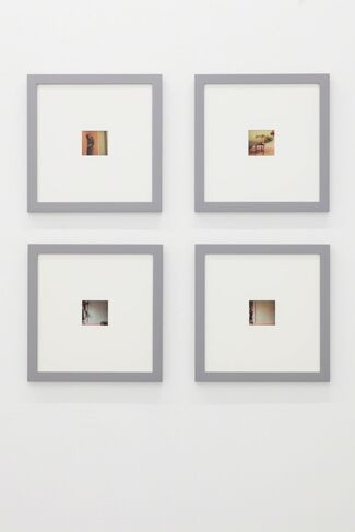 Francesca Woodman, installation view