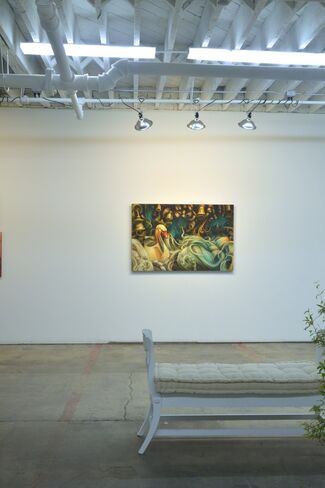 Psyche's Knot, installation view