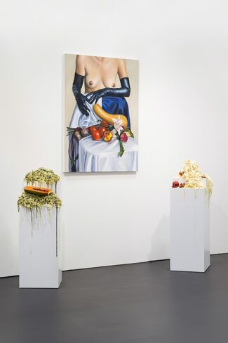 Galerie Sébastien Bertrand at NADA New York 2016, installation view