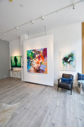 Dreaming in color, installation view