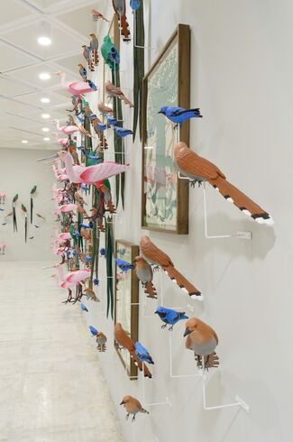 Special Project: Eduardo Sarabia. Celebrations and Other Feathered Serpent, installation view