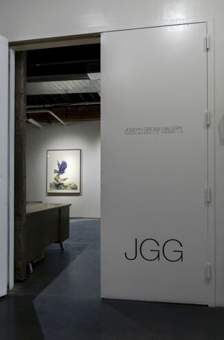 Eagle Hunters, installation view