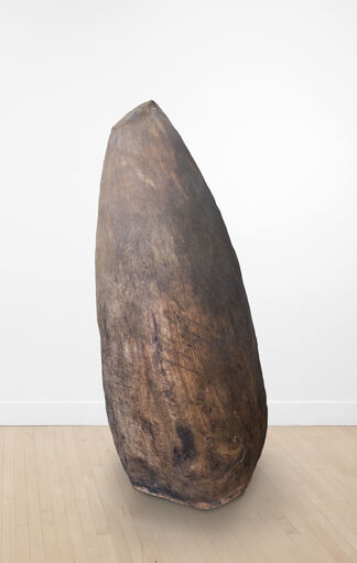 Select Works: Andy Goldsworthy and David Nash, installation view
