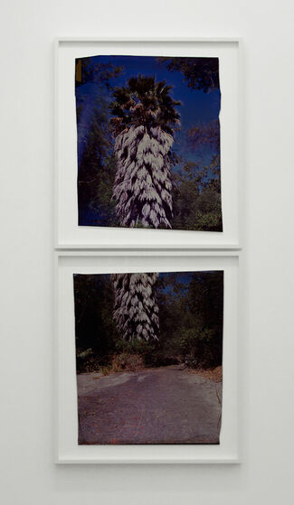 John Chiara "In Camera: American Landscapes", installation view
