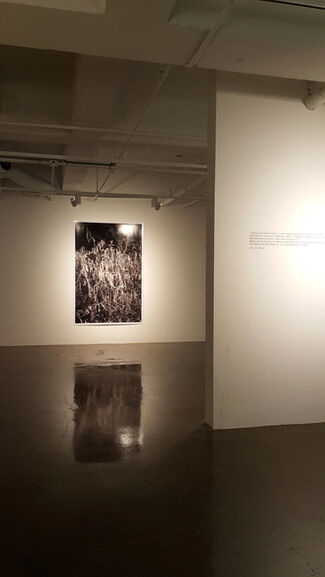 A shadow of the Moon swallows the Sun, installation view