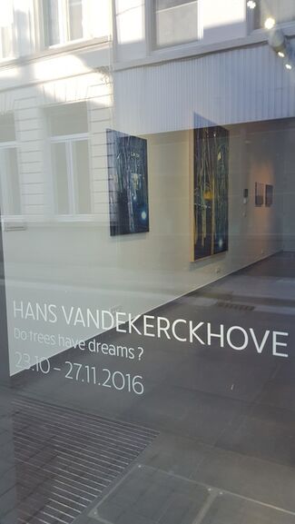 Hans Vandekerckhove 'Do Trees Have Dreams?', installation view