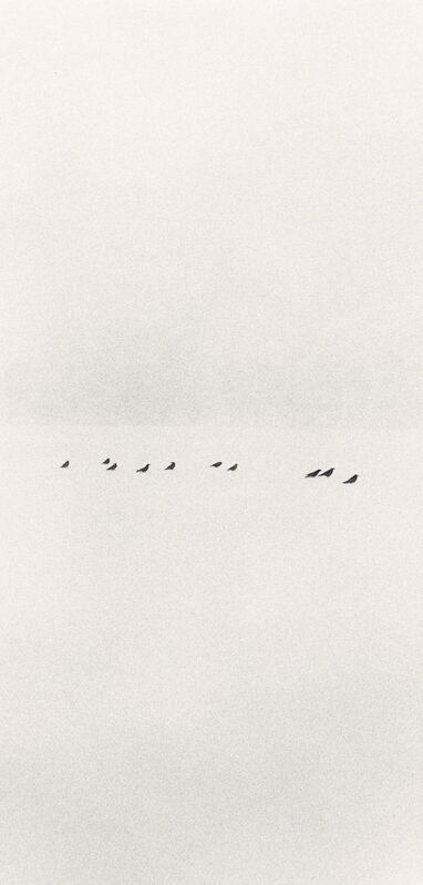 Michael Kenna, ‘Ten Birds in a Snowstorm, Wakoto, Japan’, 2002, Photography, Gelatin silver print, G. Gibson Gallery