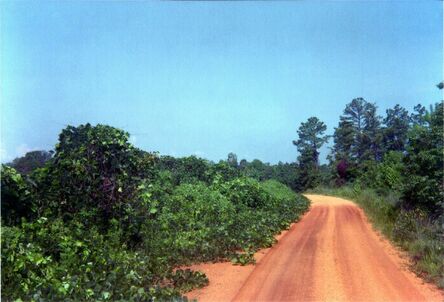 William Christenberry, ‘Kudzu and Road, Hale County, Alabama, 1996 (August)’, 1996 / Printed 2006