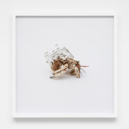 AKI INOMATA, ‘Why Not Hand Over a "Shelter" to Hermit Crabs?’, 2010/2020