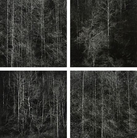 Harry Callahan, ‘Georgia Mountains, Winter’, 1988-1989