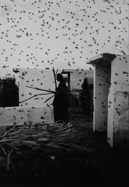Graciela Iturbide, ‘Cementerio’, 1988
