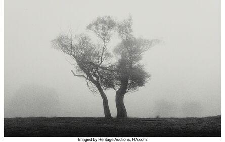 Michael Kenna, ‘Two Trees, Richmond Park, Surrey England’, 1979