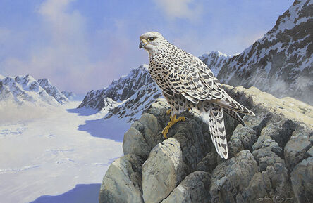 Adrian C. Rigby, ‘Untitled - Raptor in Alpine Winter’