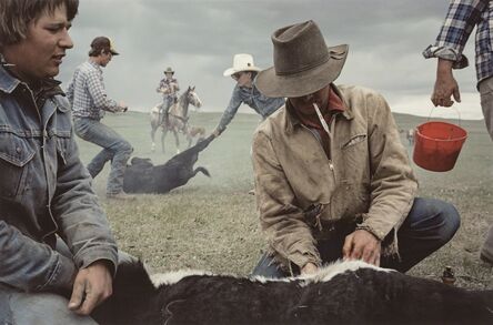 Sam Abell, ‘Buffalo, Montana’, 1985