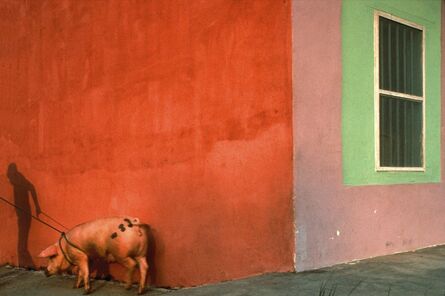Jeffrey Becom, ‘Pink Pig and Painted Walls’, 1992