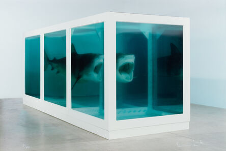 Damien Hirst, ‘The Physical Impossibility of Death in the Mind of Someone Living’, 2013