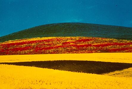 Franco Fontana, ‘Paesaggio’, 1995