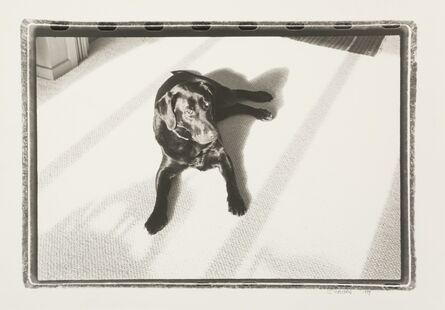 Jefferson Hayman, ‘Untitled (Black Dog)’, 1999