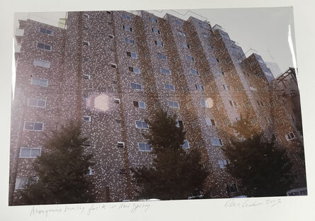 Dan Graham, ‘Anonymous Housing facade New Jersey’, 2003