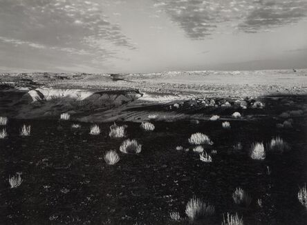 Paul Caponigro, ‘Petrified Forest, Arizona Landscape’, 1970