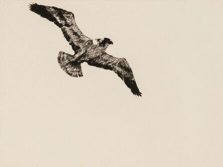Frank Weston Benson, ‘Soaring Fish Hawk’, 1923