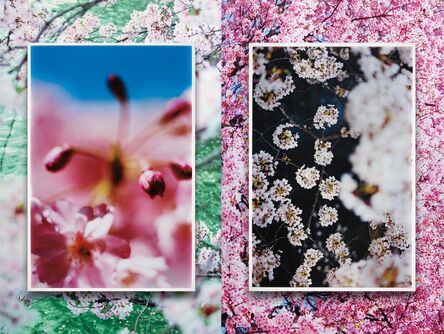 Mika Ninagawa, ‘earthly flowers, heavenly colors’, executed 2018