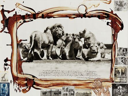 Peter Beard, ‘Lion Pride from The End of the Game’, 1976