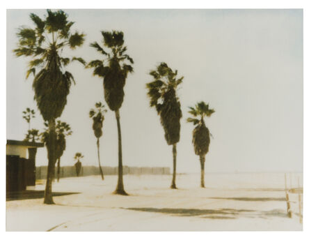 Stefanie Schneider, ‘Untitled (Palm Trees)’, 1999