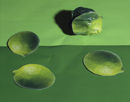 Daniel Gordon, ‘Limes’, 2013