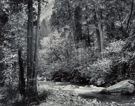 Ansel Adams, ‘Tenaya Creek, Dogwood, Rain, Yosemite National Park, California’, circa 1948