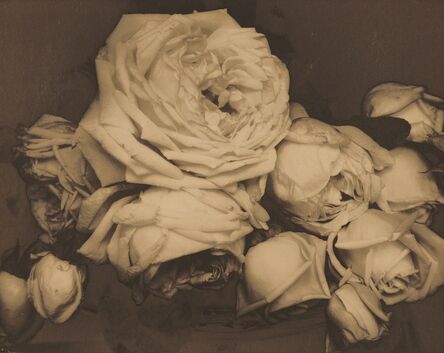 Edward Steichen, ‘Heavy Roses, Voulangis, France’, 1914