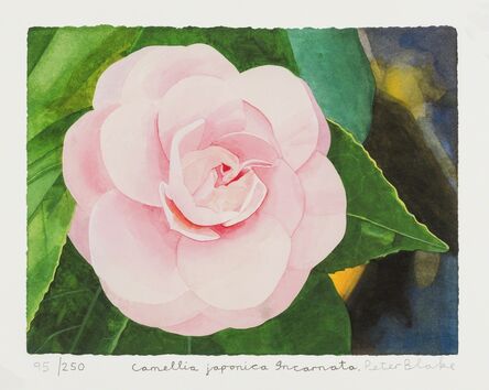Peter Blake, ‘Camellia Japonica Incarnata’, 2013