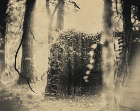 Sally Mann, ‘Untitled from Deep South’, 1998