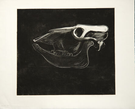 William Theophilus Brown, ‘Untitled (Skull)’, 1978