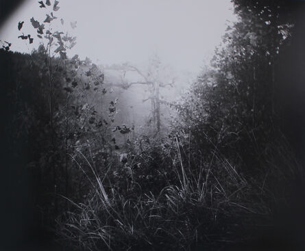Sally Mann, ‘Untitled from the portfolio America: Now and Here’