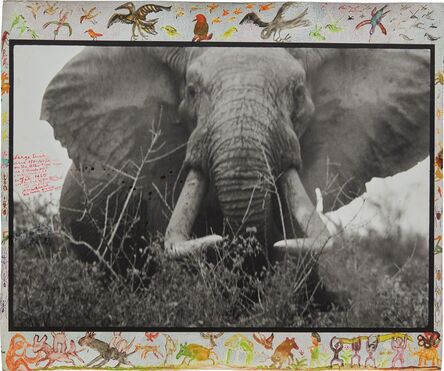Peter Beard, ‘Large tusker (c. 150 lbs per side), Tsavo North, near hunting block 33/ Ithumber Hill on the Athi-Tiva dry river, February’, 1965