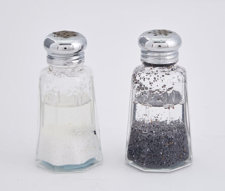 Nina Katchadourian, ‘Salt and Pepper Shaker (from the Peter Norton Family Christmas Project’, 2007