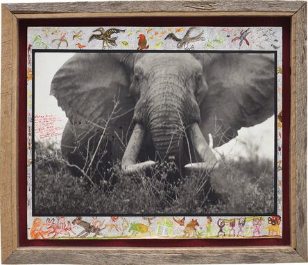 Peter Beard, ‘Large tusker (c. 150 lbs per side), Tsavo North, near hunting block 33/ Ithumber Hill on the Athi-Tiva dry river, February’, 1965