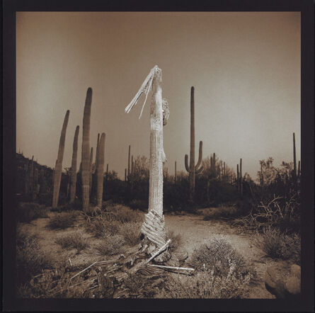 Richard Misrach, ‘Saguaro Cactus’, 1975-2001
