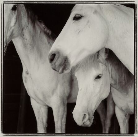 Keith Carter, ‘Caballos Blancos’, 1996