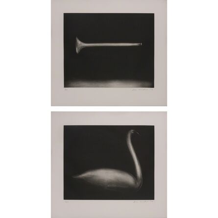 Joe Andoe, ‘Horn, Swan (two works)’, 1992