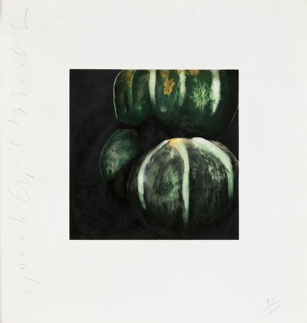 Donald Sultan, ‘Squash (from Fruit and Flowers Series)’, 1991