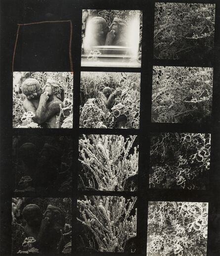 Norman Parkinson, ‘Parkinson's Garden in Winter’, circa 1963