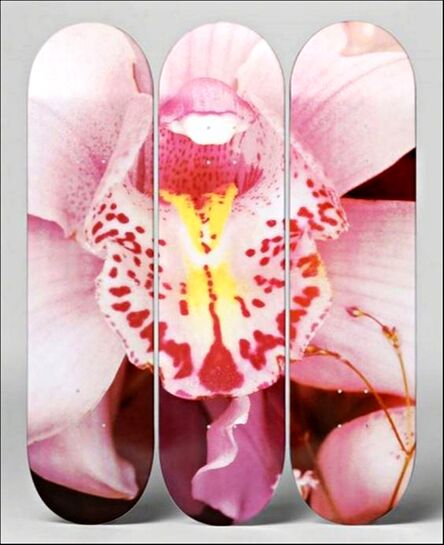 Nobuyoshi Araki, ‘Orchid Triptych’, ca. 2014