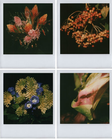 Nobuyoshi Araki, ‘Flower(s)’, 2006-2009
