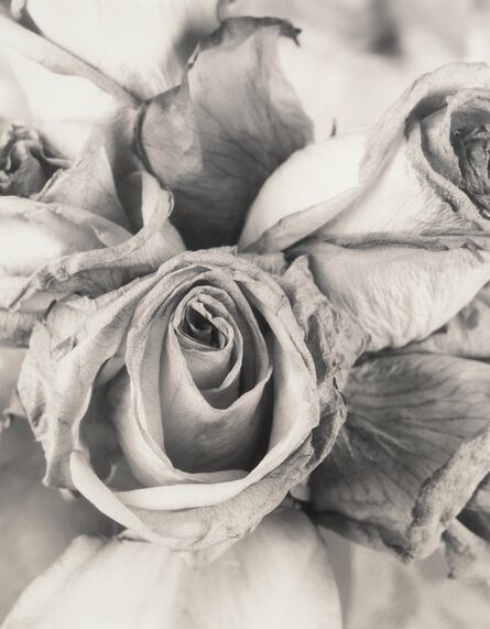 Ron van Dongen, ‘Untitled (Flowers)’