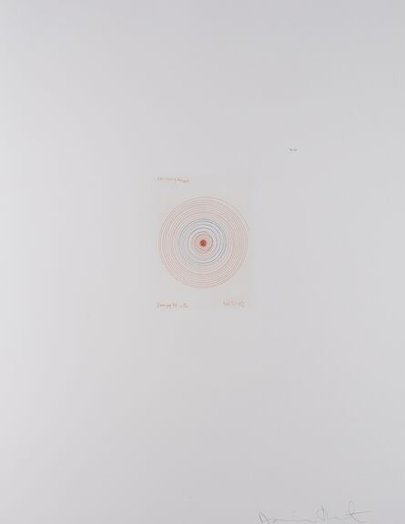 Damien Hirst, ‘Spinning Wheel (from In a Spin, The Action of the World on Things I)’, 2002