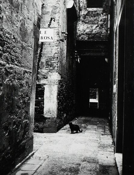 Paolo Monti, ‘Gatto al Calle de la Rosa’, 1951